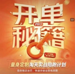 淘宝开单秘籍PRO，量身定制淘天实战陪跑计划，告别做店迷茫、快速突破运营瓶颈期-晟哥学社资源库