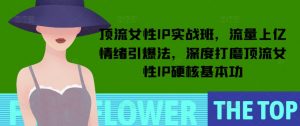 顶流女性IP实战班,流量上亿情绪引爆法,深度打磨顶流女性IP硬核基本功-晟哥学社资源库