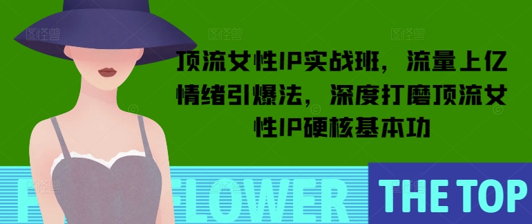 顶流女性IP实战班，流量上亿情绪引爆法，深度打磨顶流女性IP硬核基本功-晟哥学社资源库