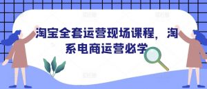 淘宝全套运营现场课程,淘系电商运营必学-晟哥学社资源库