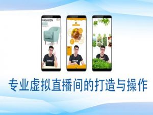 个人虚拟直播间的搭建与操作,专业虚拟直播间的打造与操作-晟哥学社资源库
