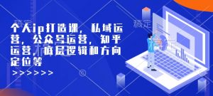 个人ip打造课，私域运营，公众号运营，知乎运营，底层逻辑和方向定位等-晟哥学社资源库