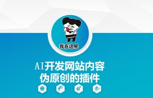 AI开发网站内容伪原创的插件,从零开始手把手教学-晟哥学社资源库