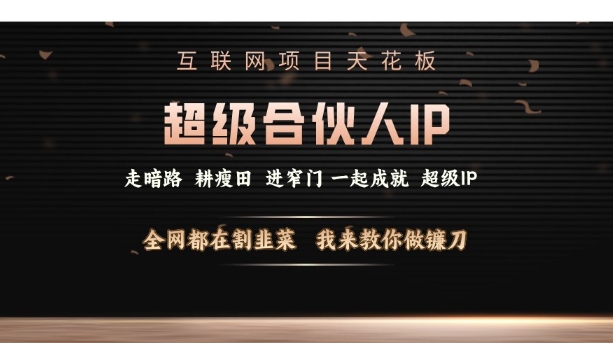 互联网项目天花板，超级合伙人IP，全网都在割韭菜，我来教你做镰刀【仅揭秘】-晟哥学社资源库