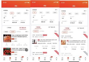 2025最新京东蓝海项目，0 门槛日入 1k+，小白宝妈轻松上手【揭秘】-晟哥学社资源库