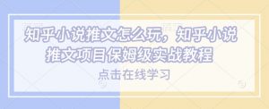 知乎小说推文怎么玩，知乎小说推文项目保姆级实战教程-晟哥学社资源库