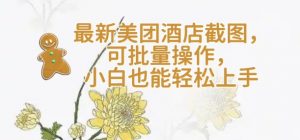 【轻云】最新美团酒店截图，可批量操作，小白也能轻松上手-晟哥学社资源库