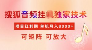 首发搜狐音频挂JI，项目红利期，可矩阵可放大，稳定月入5k【揭秘】-晟哥学社资源库