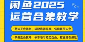 2025闲鱼电商运营全集,2025最新咸鱼玩法-晟哥学社资源库