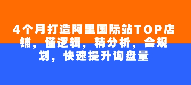 4个月打造阿里国际站TOP店铺，懂逻辑，精分析，会规划，快速提升询盘量-晟哥学社资源库