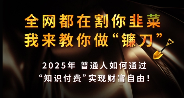 全网都在割你韭菜，我来教你做镰刀，2025年普通人如何通过 知识付费 实现财F自由【揭秘】-晟哥学社资源库