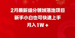 2月最新细分领域落地项目,新手小白也可快速上手,月入1W-晟哥学社资源库
