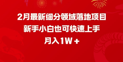 2月最新细分领域落地项目，新手小白也可快速上手，月入1W-晟哥学社资源库