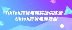 TikTok跨境电商实操训练营，tiktok跨境电商教程-晟哥学社资源库