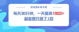 副业她只用了1招,每天30分钟,无脑二创,一天最高1.5k-晟哥学社资源库