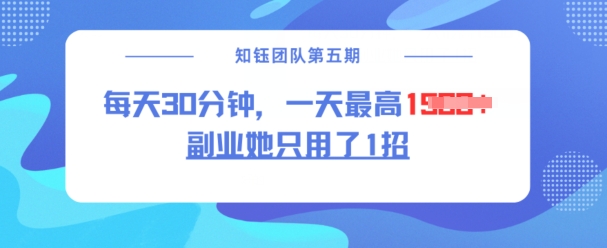 副业她只用了1招，每天30分钟，无脑二创，一天最高1.5k-晟哥学社资源库