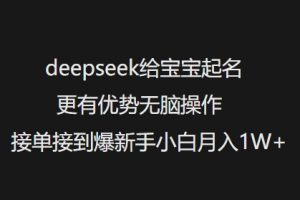 deepseek给宝宝起名更有优势无脑操作接单接到爆新手小白月入1W+-晟哥学社资源库