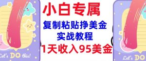 复制粘贴挣美金，0门槛，1天收入95美刀，3分钟学会，内部教程(首次公开)-晟哥学社资源库