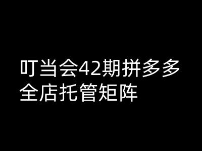 叮当会拼多多打爆班原创高阶技术第42期，拼多多全店托管矩阵-晟哥学社资源库