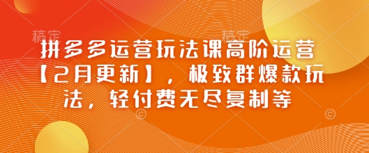 拼多多运营玩法课高阶运营【2月更新】，极致群爆款玩法，轻付费无尽复制等-晟哥学社资源库