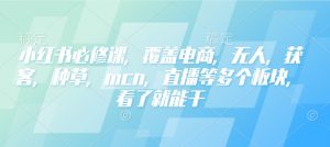 小红书必修课，覆盖电商，无人，获客，种草，mcn，直播等多个板块，看了就能干-晟哥学社资源库