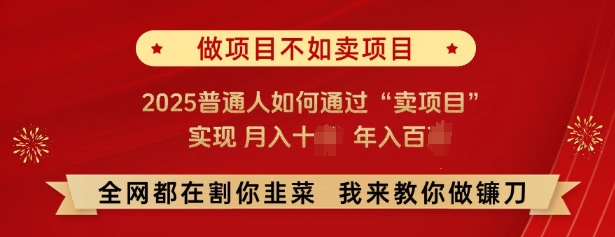 必看，做项目不如卖项目，2025普通人如何通过“卖项目”实现月入十个，年入百个-晟哥学社资源库