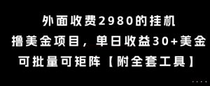 外面收费2980的挂G撸美金项目，单日收益30+美金，可批量可矩阵【揭秘】-晟哥学社资源库