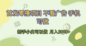 首发零撸项目 不看广告 手机可做 新手小白可以做 月入3k+【揭秘】-晟哥学社资源库