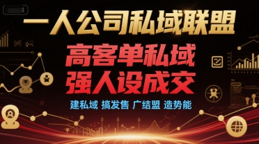 一人公司私域联盟，高客单私域，强人设成交，建私域 搞发售 广结盟 造势能-晟哥学社资源库