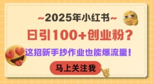 2025年小红书日引100+创业粉?这招新手抄作业也能爆流量!-晟哥学社资源库