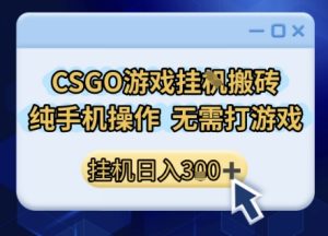 CSGO游戏挂G搬砖，小白纯手机即可操作，不用电脑打游戏，日入3张+，副业网创项目【揭秘】-晟哥学社资源库