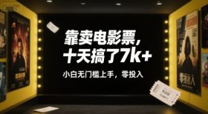 靠卖电影票，十天搞了7k+，小白无门槛上手，零投入【揭秘】-晟哥学社资源库