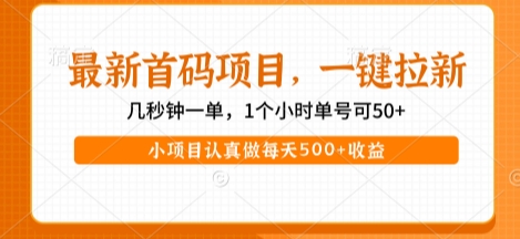 最新首码项目，操作最简单，收益高，一键拉新，1个小时单号可50+，小项目认真做每天5张+收益【揭秘】-晟哥学社资源库
