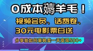 0成本薅羊毛!视频会员、话费卷、30元电影票白送，分享我如何靠转卖一天变现5张+【揭秘】-晟哥学社资源库