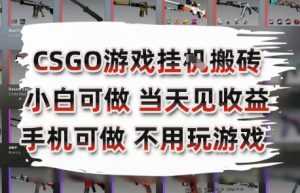 CSGO游戏挂G搬砖，小白纯手机即可操作，不用电脑打游戏，日入3张+，副业网创项目【揭秘】-晟哥学社资源库