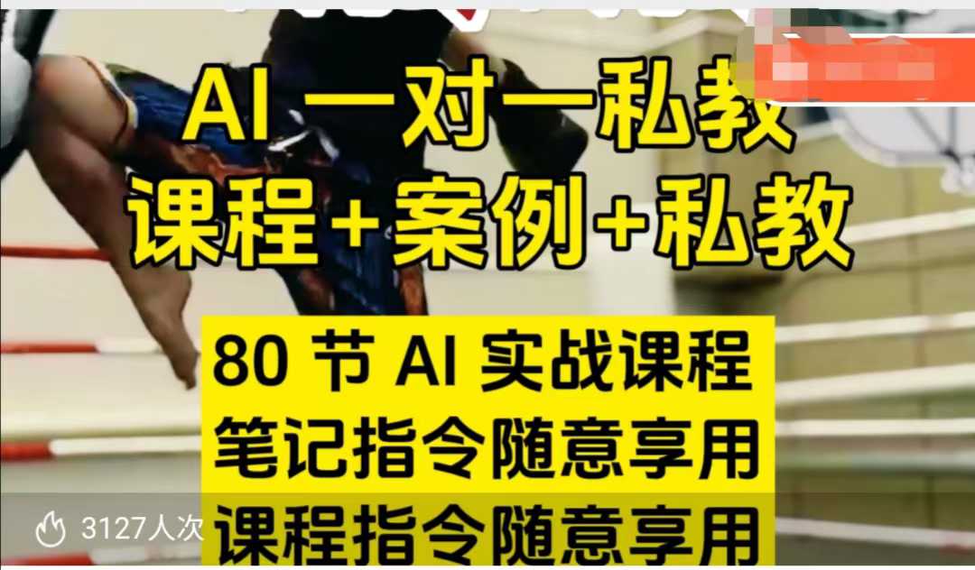 AI指令实战课，课程+案例，80节AI实战课程，笔记指令随意享用，课程指令随意享用（更新7月）-晟哥学社资源库