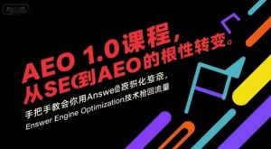 AEO 1.0 课程,从SEO到AE0的基命性转变,手把手教会你用AnswerEngineOptimization技术抢回流量-晟哥学社资源库