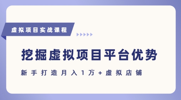 抓住虚拟项目各平台优势，新手轻松月入1W+(给出具体建议)-晟哥学社资源库