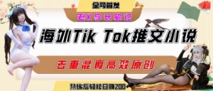海外tiktok小说推文暴力项目,高停留率,高转化率,上手后一天搞顿饭钱不是问题-晟哥学社资源库