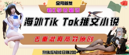 海外tiktok小说推文暴力项目，高停留率，高转化率，上手后一天搞顿饭钱不是问题-晟哥学社资源库