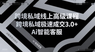 跨境私域线上高级课程，跨境私域极速成交3.0+Ai智能客服-晟哥学社资源库