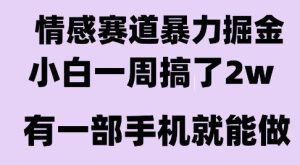 情感暴力掘金项目，新人操作一周挣了2W，长期稳定小白可做【揭秘】-晟哥学社资源库