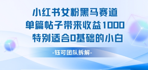 小红书女粉黑马赛道单篇帖子带来收益1k+，特别适合0基础的小白-晟哥学社资源库