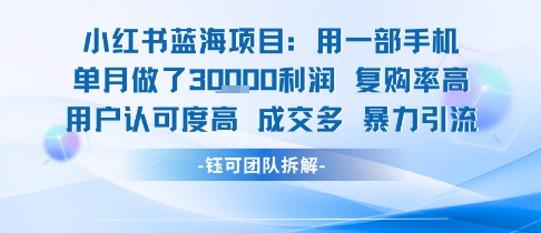 小红书蓝海项目，一部手机单月做了3W利润，小白也能月入过1W用户认可度高成交多-晟哥学社资源库