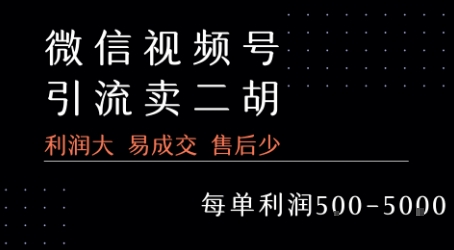 视频号卖二胡教程，利润大 易成交 售后少，一单利润5张+-晟哥学社资源库
