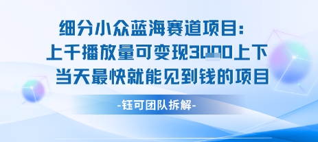 小众蓝海赛道项目：当天变现1k+适合新手操作 +适合长期玩-晟哥学社资源库