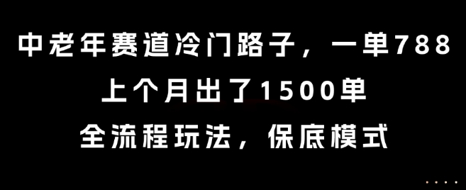 中老年赛道冷门路子，一单788，上个月出了1500单，全流程玩法，保底模式【揭秘】-晟哥学社资源库