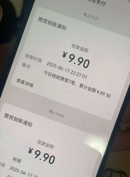 二次元男粉快速变现项目，私域卖虚拟产品，百分利润-晟哥学社资源库