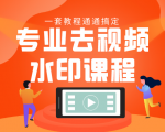 专业去视频水印教程 静态水印、动态水印、文字水印、图片水印一套教程通通搞定-晟哥学社资源库
