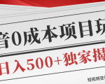 短视频变现套路剖析，抖音0成本赚钱项目玩法，日入500+独家揭秘（共2节视频）-晟哥学社资源库